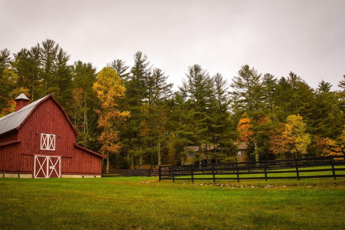 How To Find Great Ranches To Rent For A Family Getaway
