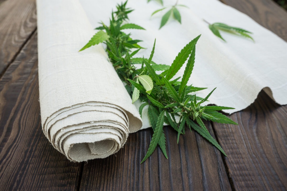 A Complete Guide to the Hemp Flower